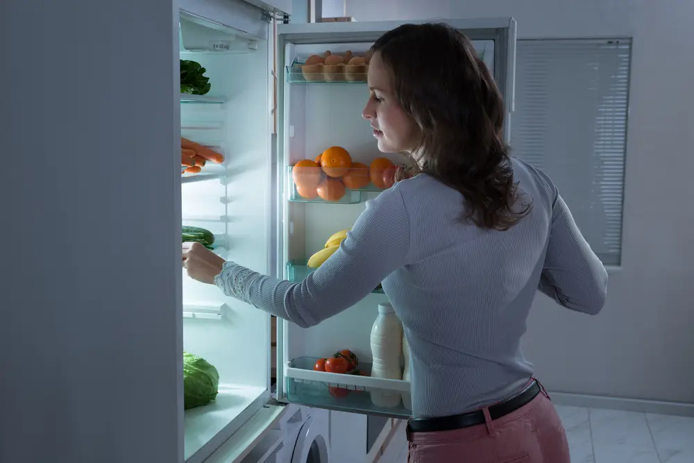 Fridge Repairs